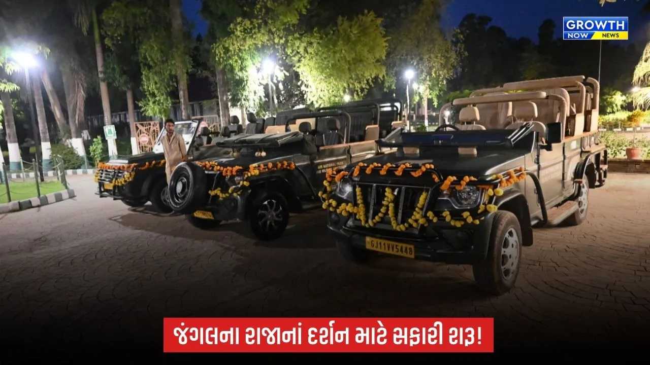 Junagadh News: સાસણગીર પ્રવાસીઓ માટે ખુલ્લું મુકાયું, સિંહદર્શન માટે પ્રવાસીઓમાં ભારે ઉત્સાહ