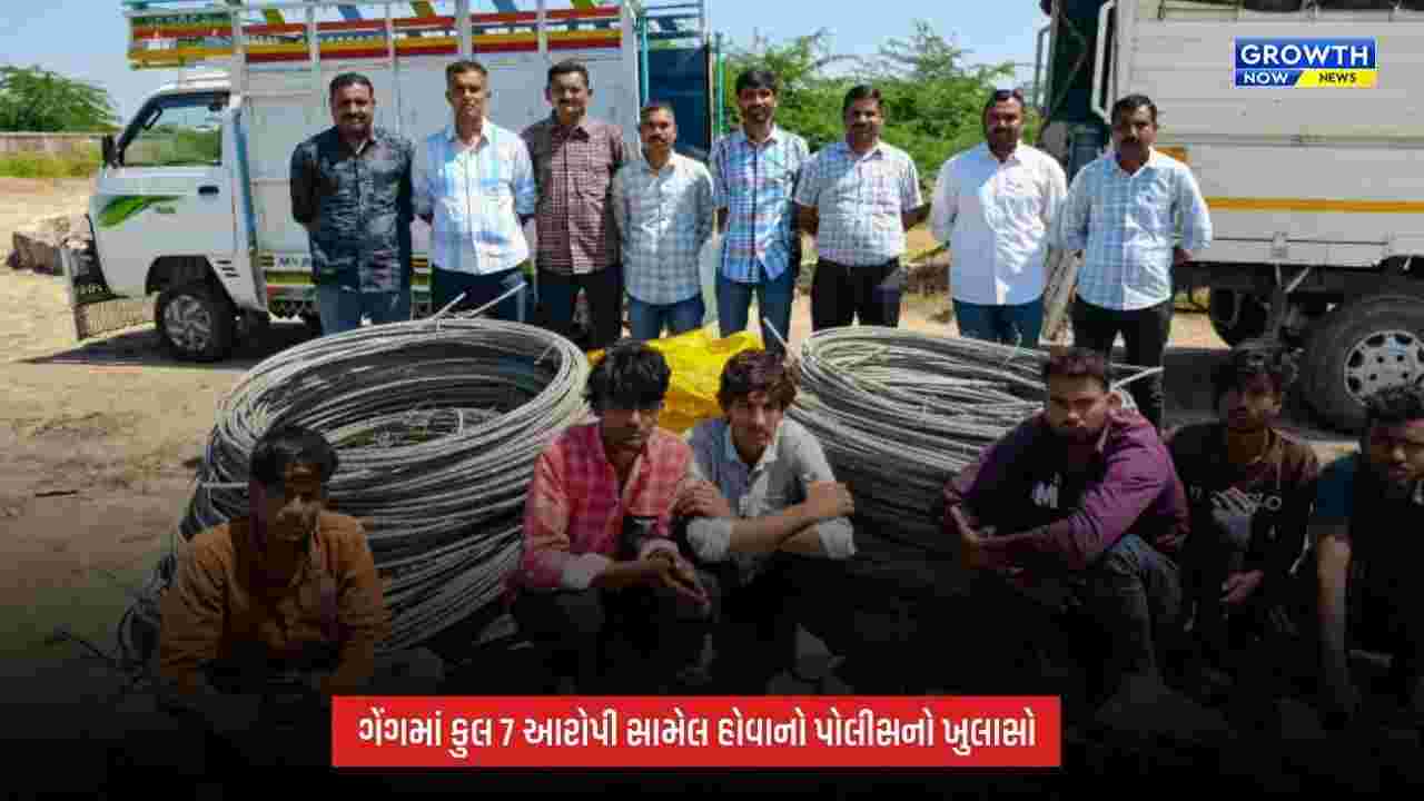 Ahmedabad : ધોલેરા-કોઠમાં વીજ વાયર ચોરી કરતી ગેંગનો પર્દાફાશ, 6 આરોપી ઝડપાયા