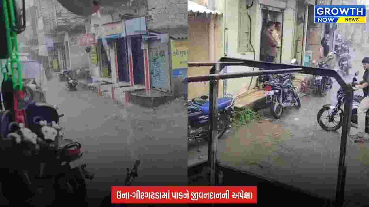 Gir Somnath Rain : હવામાન વિભાગની આગાહી વચ્ચે ગીર સોમનાથમાં વરસાદ, ખેડૂતોમાં ખુશીનો માહોલ