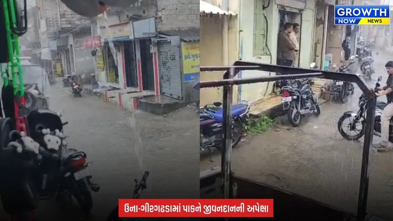 Gir Somnath Rain : હવામાન વિભાગની આગાહી વચ્ચે ગીર સોમનાથમાં વરસાદ, ખેડૂતોમાં ખુશીનો માહોલ