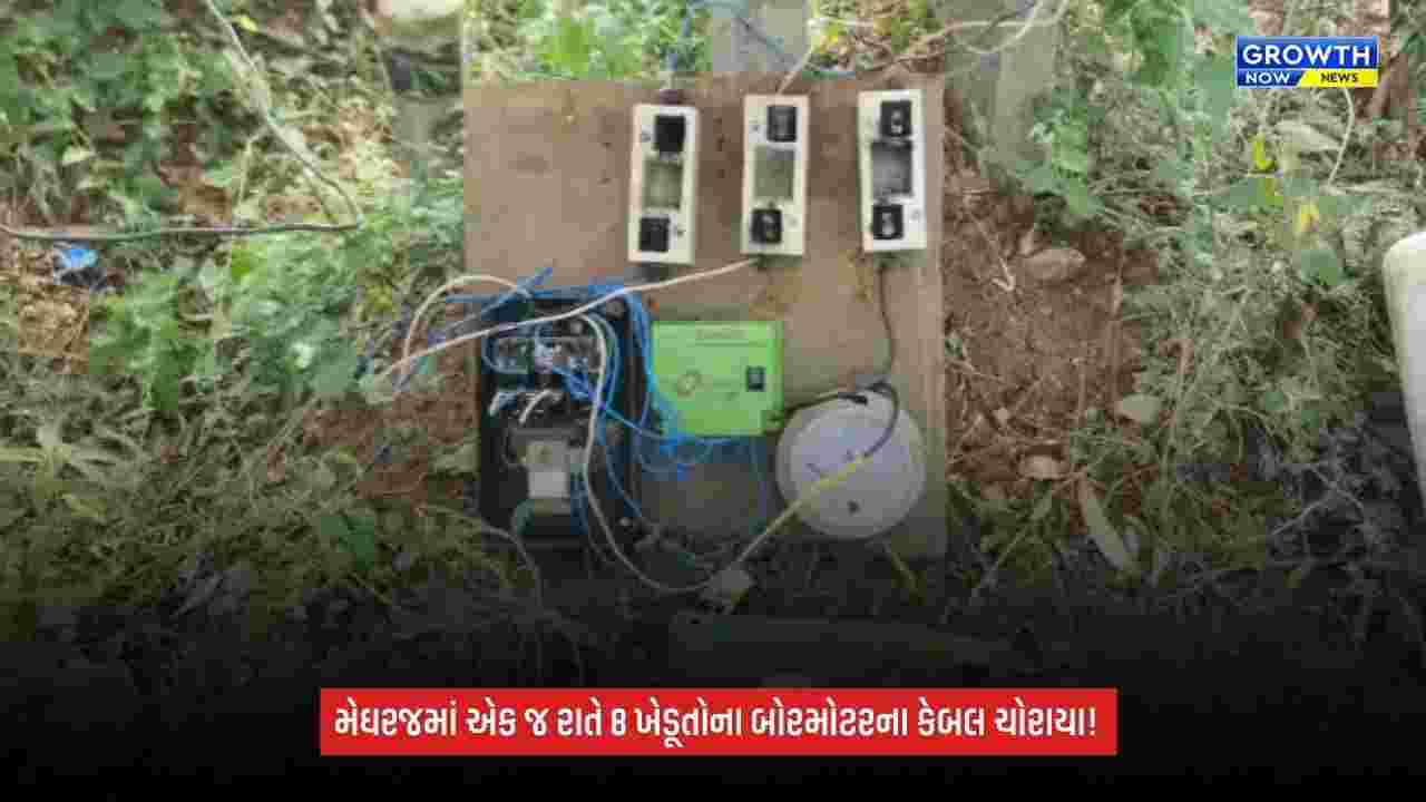 Aravalliમાં કેબલ ચોર ટોળકી સક્રિય! મેઘરજમાં એક જ રાતે 8 ખેડૂતોના બોરમોટરના કેબલ ચોરાયા