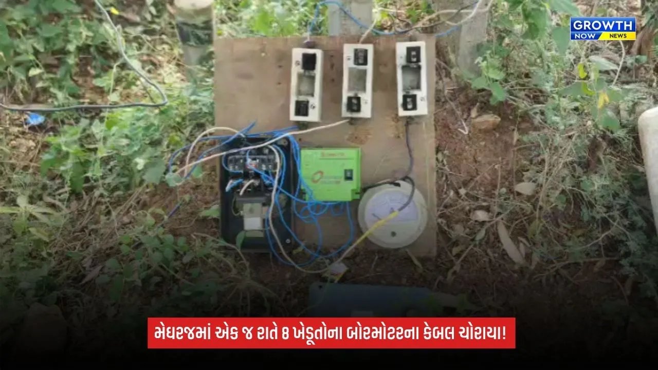 Aravalliમાં કેબલ ચોર ટોળકી સક્રિય! મેઘરજમાં એક જ રાતે 8 ખેડૂતોના બોરમોટરના કેબલ ચોરાયા
