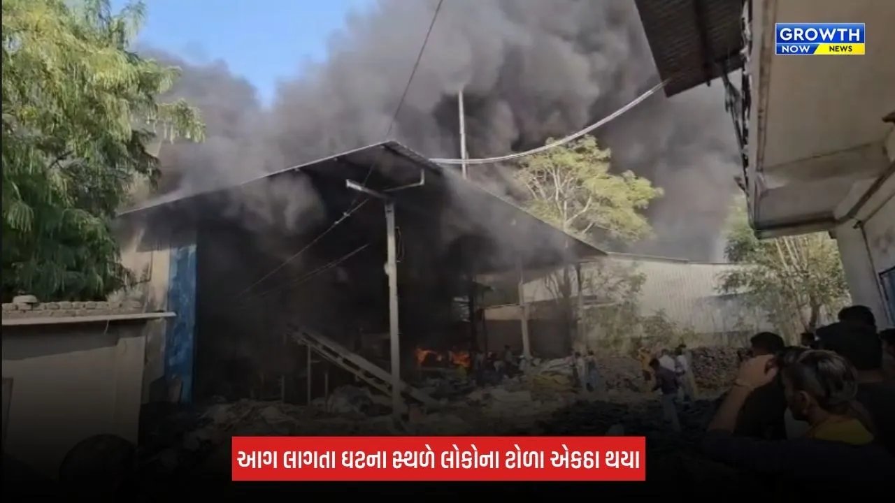 Sabarkantha News: તલોદ GIDCમાં ટાયર બનાવતી ખાનગી કંપનીમાં ભીષણ આગ, ત્રણ ફાયર વિભાગે હાથ ધરી કામગીરી