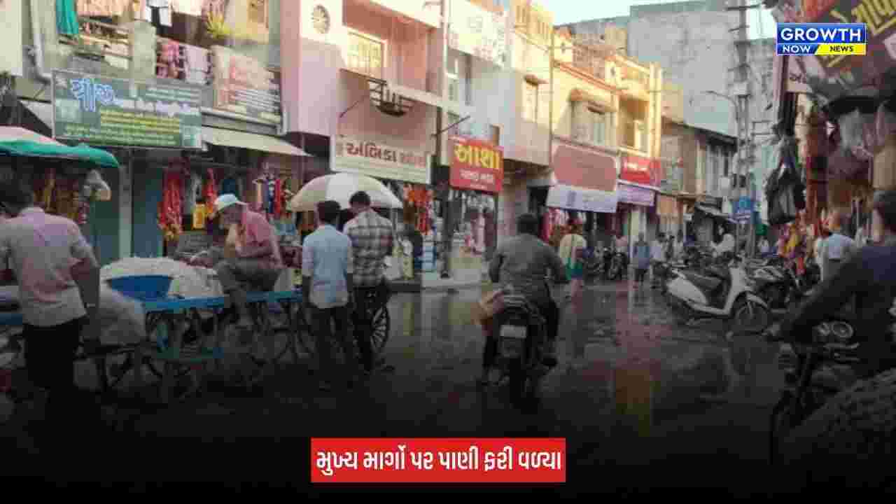 Kheda : ઠાસરા નગરપાલિકાની ગંભીર બેદરકારી સામે આવી, મુખ્ય માર્ગો પર 3 દિવસથી પાણી ભરાતા લોકો પરેશાન