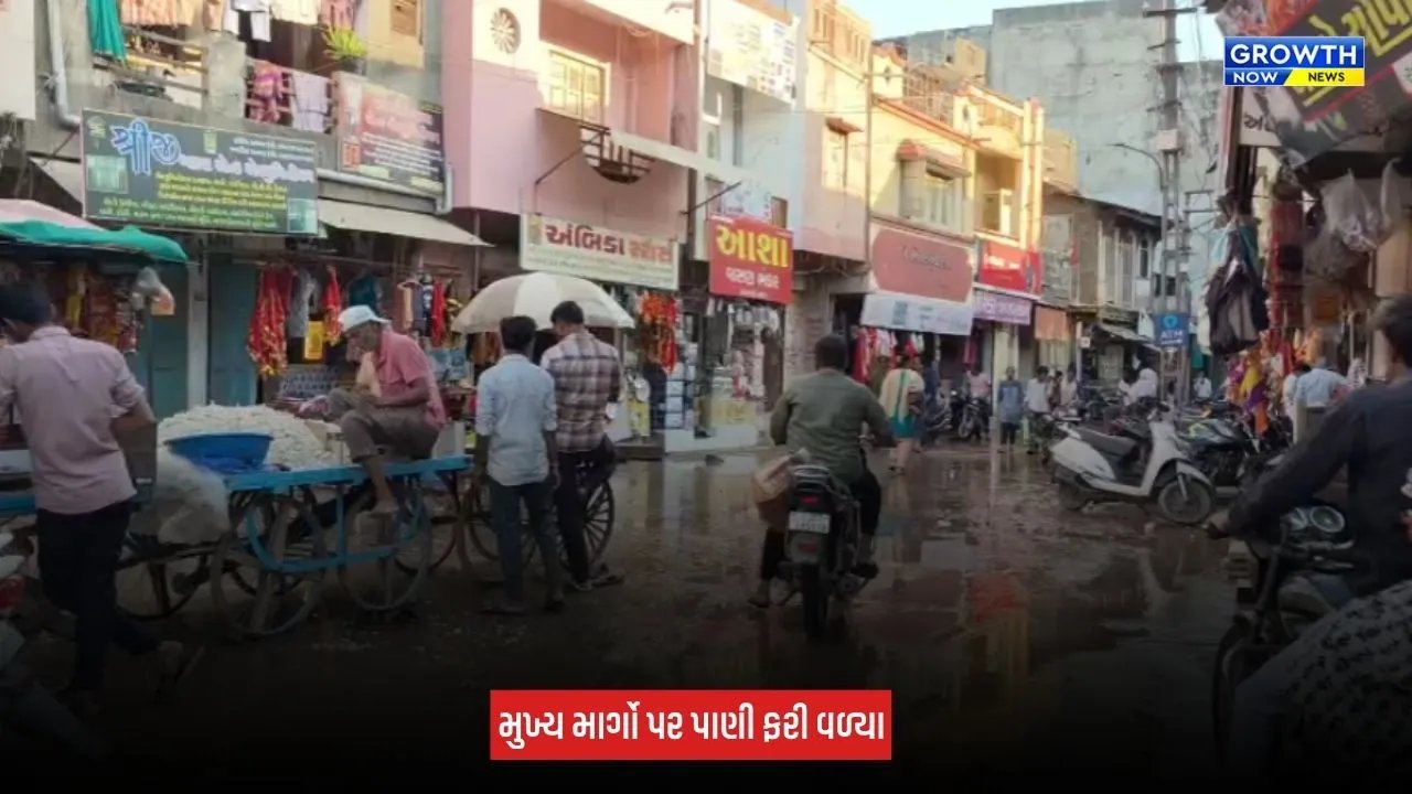 Kheda : ઠાસરા નગરપાલિકાની ગંભીર બેદરકારી સામે આવી, મુખ્ય માર્ગો પર 3 દિવસથી પાણી ભરાતા લોકો પરેશાન