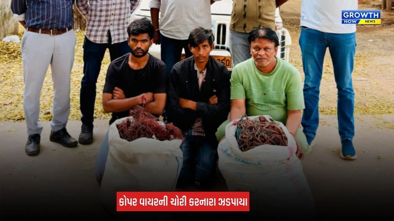 Kalol News: છત્રાલ GIDCમાં કોપર વાયર ચોરીનો ભેદ ઉકેલાયો, 3 આરોપીઓ ઝડપાયા