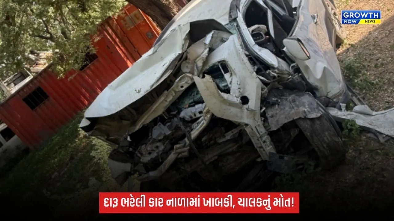 Kutchમાં દારૂ ભરેલી કાર નાળામાં ખાબકી, કારચાલકનું મોત; કારમાંથી ₹31 હજારનો દારૂ ઝડપાયો