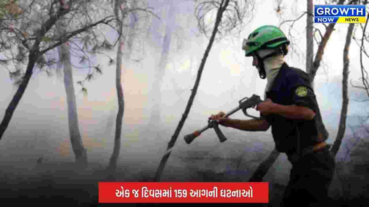 ForestFire: અલ્જીરિયાના જંગલોમાં ભીષણ આગનો કહેર, 12નાં મોત; ગૃહમંત્રીએ રેસ્ક્યૂ ઓપરેશનની સમીક્ષા કરી