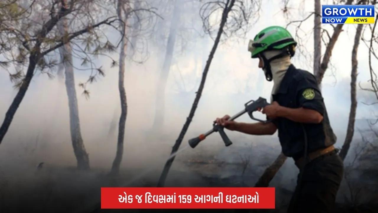 ForestFire: અલ્જીરિયાના જંગલોમાં ભીષણ આગનો કહેર, 12નાં મોત; ગૃહમંત્રીએ રેસ્ક્યૂ ઓપરેશનની સમીક્ષા કરી