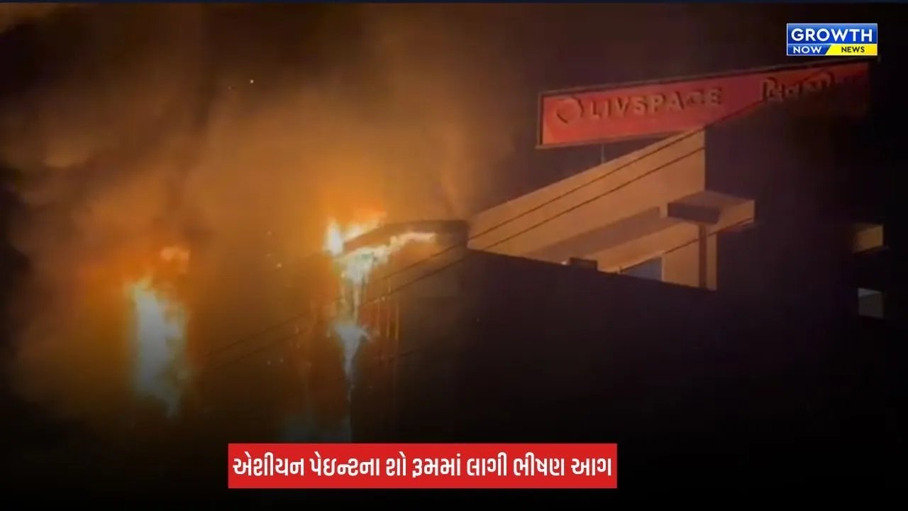 Godhra Fire News: ગોધરાના સાંપા રોડ પર એશિયન પેઇન્ટ્સના શોરૂમમાં ભીષણ આગ, સમગ્ર શોરૂમ બળીને ખાખ