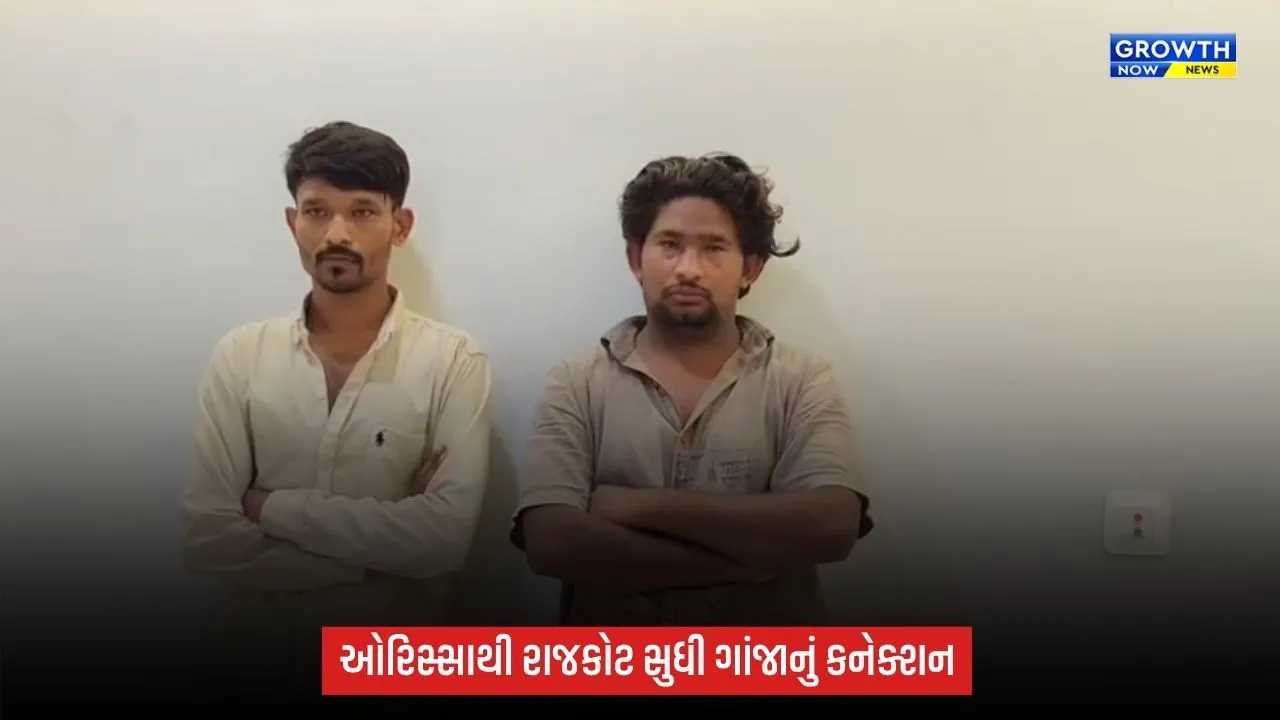 204 કિલો ગાંજા કેસમાં રાજકોટ ક્રાઈમ બ્રાન્ચની કાર્યવાહી, ઓરિસ્સાથી સપ્લાય કરનારા બે સગા ભાઈ ઝડપાયા