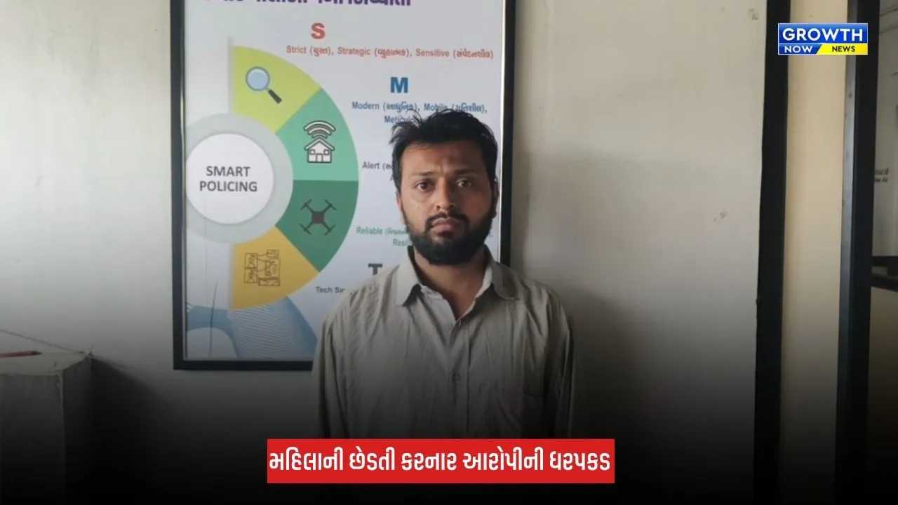Junagadh : નવરાત્રી પહેલા મુખ્ય બજારમાં બન્યો છેડતીનો ગંભીર બનાવ, આરોપી ઈબ્રાહિમ સીડાની કરાઈ ધરપકડ