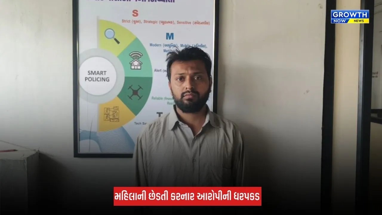 Junagadh : નવરાત્રી પહેલા મુખ્ય બજારમાં બન્યો છેડતીનો ગંભીર બનાવ, આરોપી ઈબ્રાહિમ સીડાની કરાઈ ધરપકડ