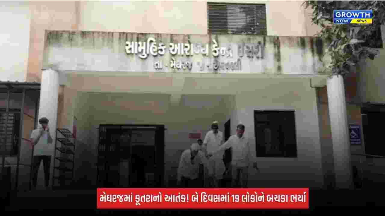 Aravalli: મેઘરજમાં હડકાયા કૂતરાનો આતંક યથાવત! બીજા દિવસે વધુ 8 લોકોને કરડ્યા, બે દિવસમાં 19 લોકો ભોગ બન્યા