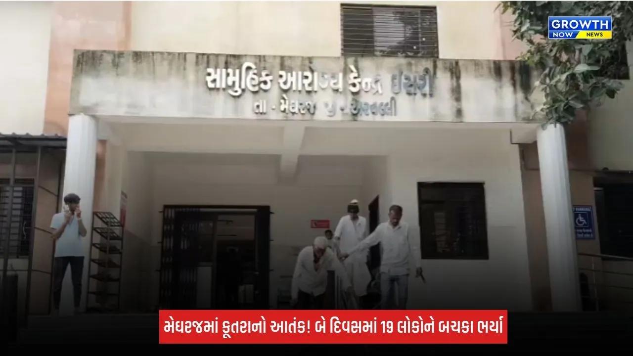 Aravalli: મેઘરજમાં હડકાયા કૂતરાનો આતંક યથાવત! બીજા દિવસે વધુ 8 લોકોને કરડ્યા, બે દિવસમાં 19 લોકો ભોગ બન્યા