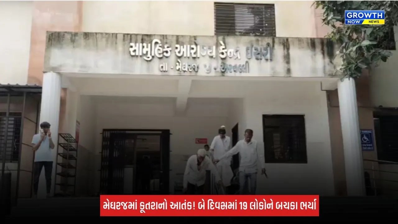 Aravalli: મેઘરજમાં હડકાયા કૂતરાનો આતંક યથાવત! બીજા દિવસે વધુ 8 લોકોને કરડ્યા, બે દિવસમાં 19 લોકો ભોગ બન્યા
