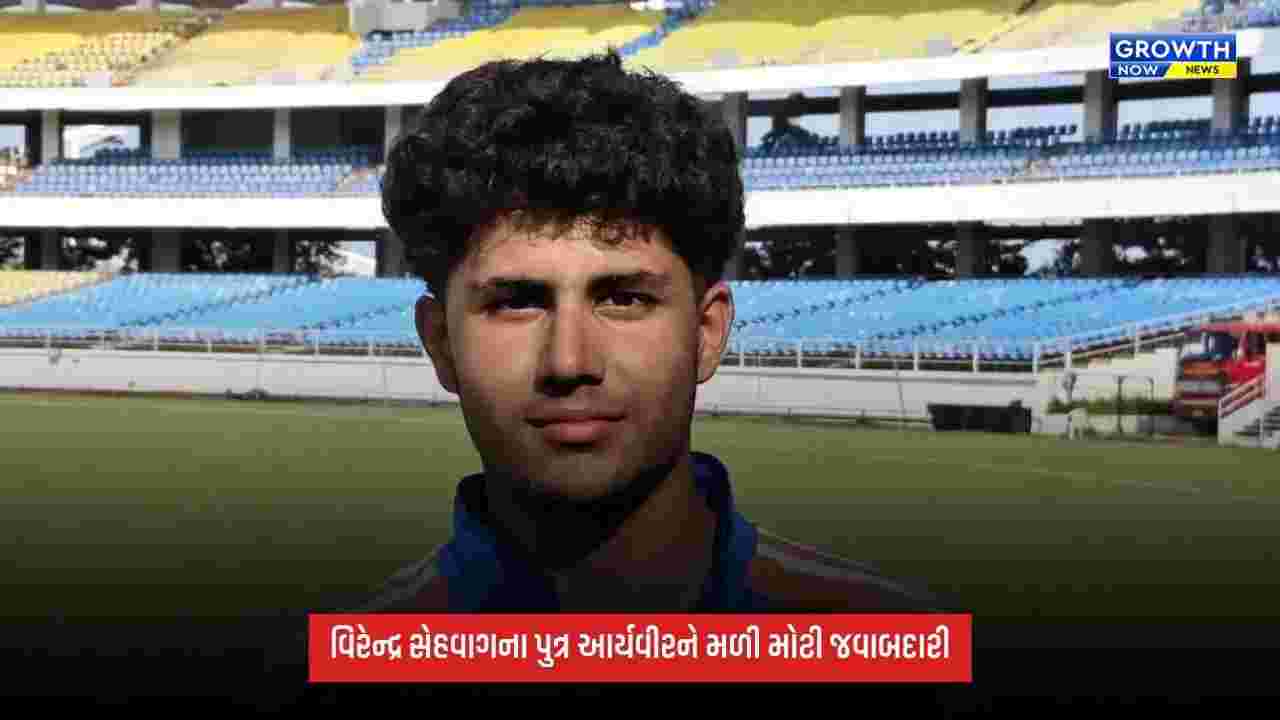 Virender Sehwagના પુત્ર આર્યવીરને મળી કેપ્ટનશીપ, 18 વર્ષની ઉંમરે સંભાળશે ટીમની કમાન