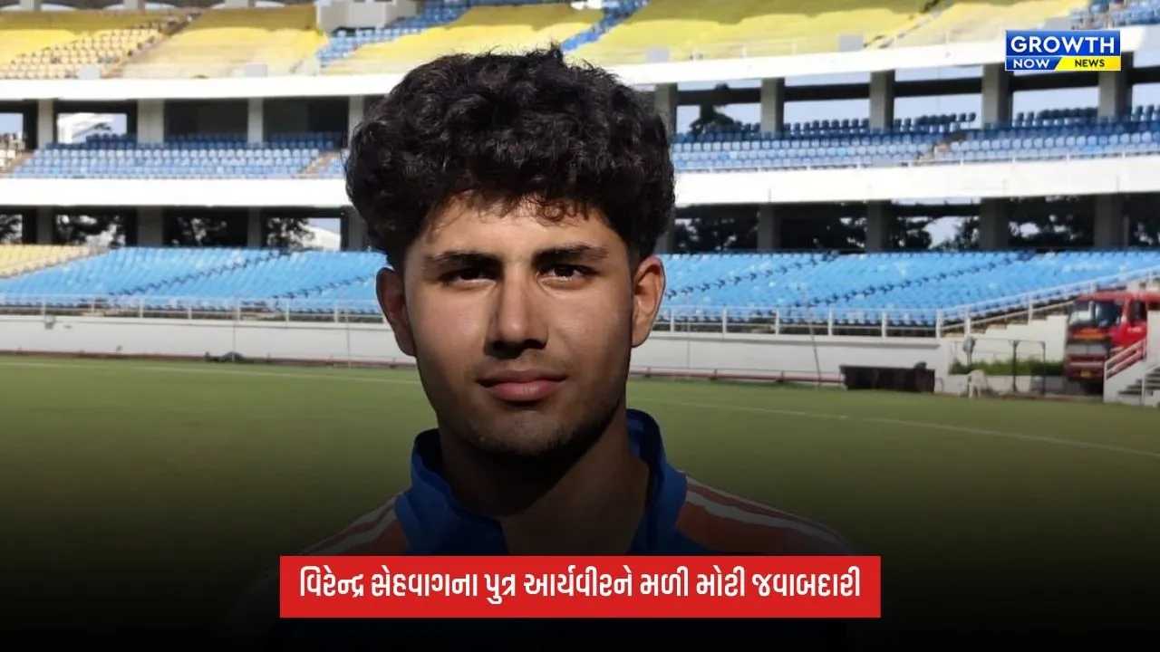 Virender Sehwagના પુત્ર આર્યવીરને મળી કેપ્ટનશીપ, 18 વર્ષની ઉંમરે સંભાળશે ટીમની કમાન