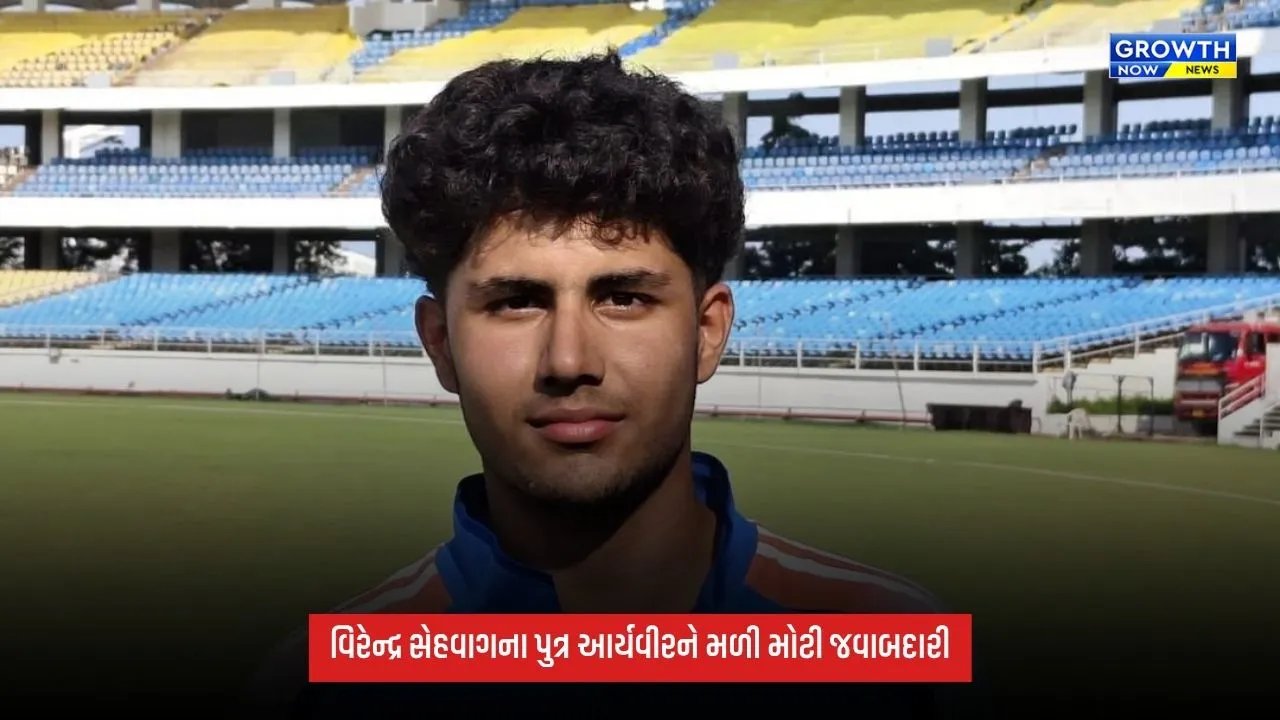 Virender Sehwagના પુત્ર આર્યવીરને મળી કેપ્ટનશીપ, 18 વર્ષની ઉંમરે સંભાળશે ટીમની કમાન