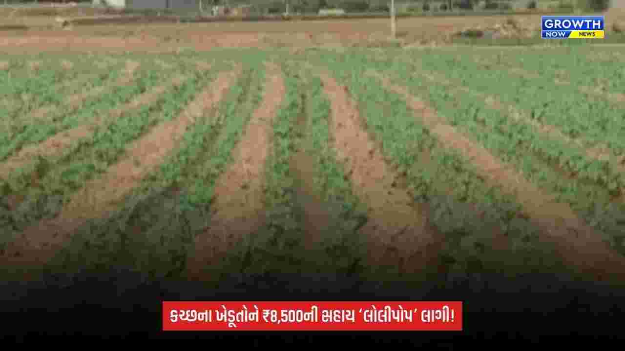Kutchને અછતગ્રસ્ત જાહેર કરતાં ખેડૂતોમાં નારાજગી, ₹8,500ની સહાયને ગણાવી ‘લોલીપોપ’