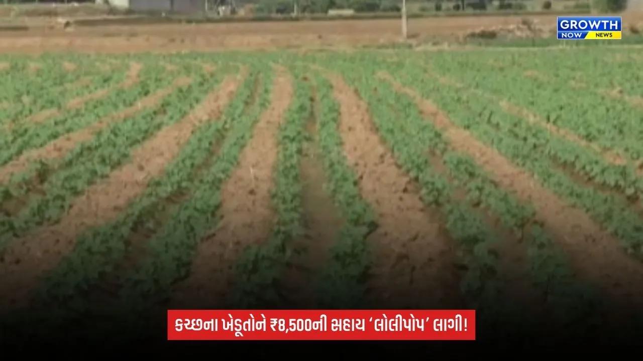 Kutchને અછતગ્રસ્ત જાહેર કરતાં ખેડૂતોમાં નારાજગી, ₹8,500ની સહાયને ગણાવી ‘લોલીપોપ’