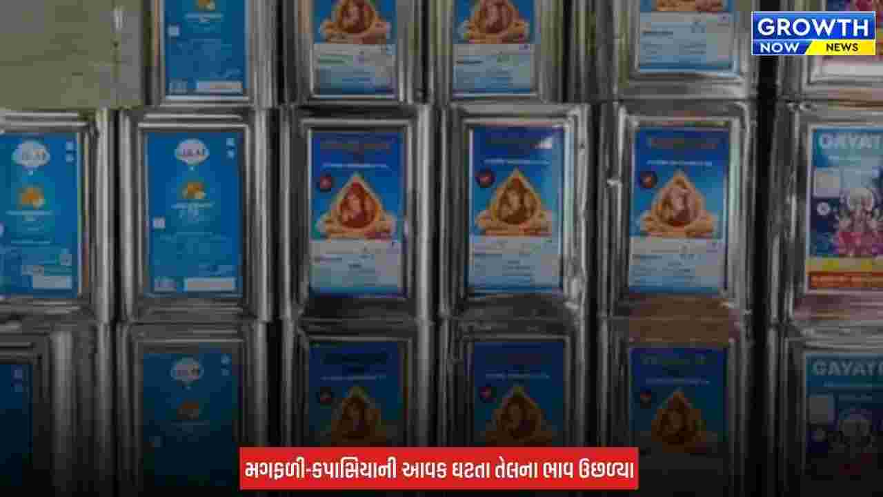 Rajkot માં ખાદ્યતેલના ભાવમાં ફરી ભડકો, સિંગતેલ ₹50 મોંઘું થયું તો કપાસિયા તેલમાં ₹ 25નો વધારો