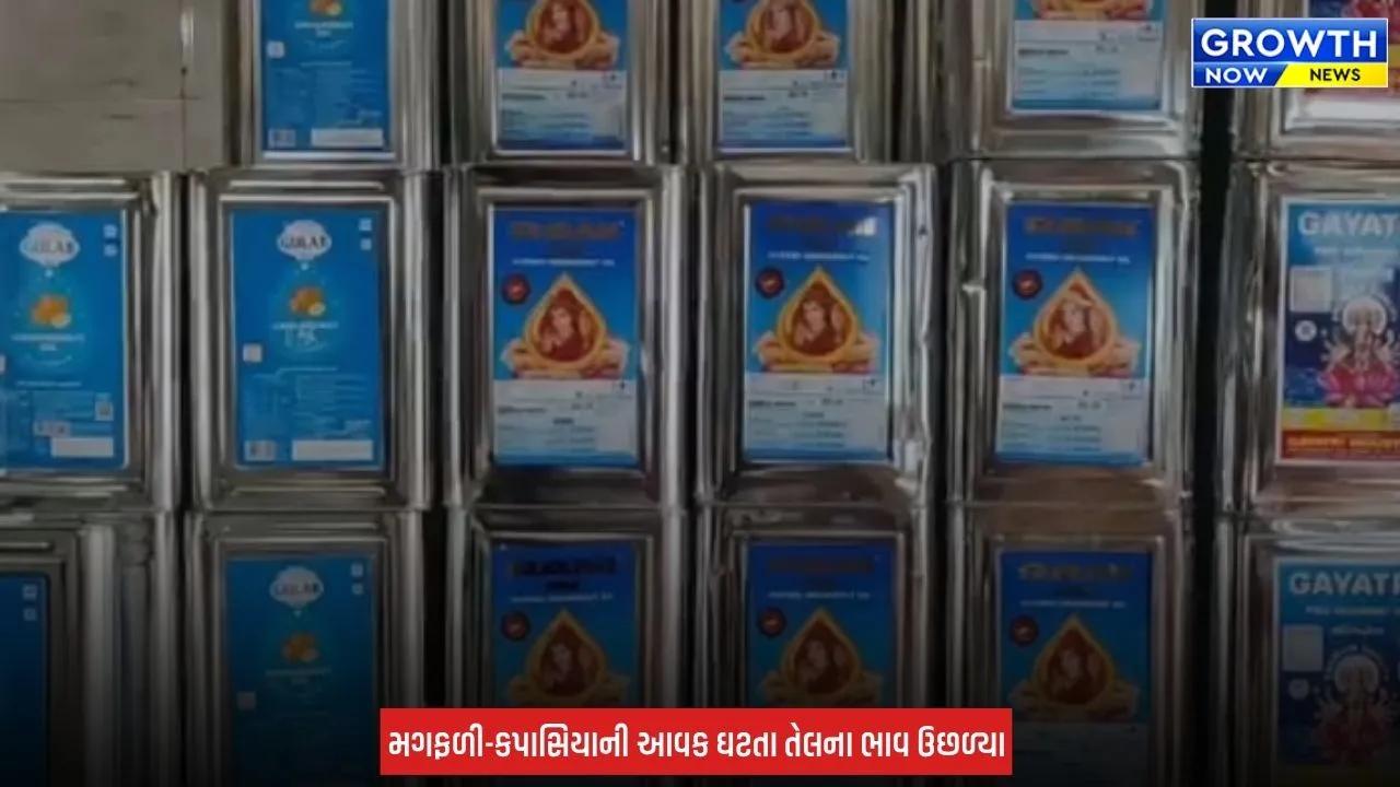 Rajkot માં ખાદ્યતેલના ભાવમાં ફરી ભડકો, સિંગતેલ ₹50 મોંઘું થયું તો કપાસિયા તેલમાં ₹ 25નો વધારો