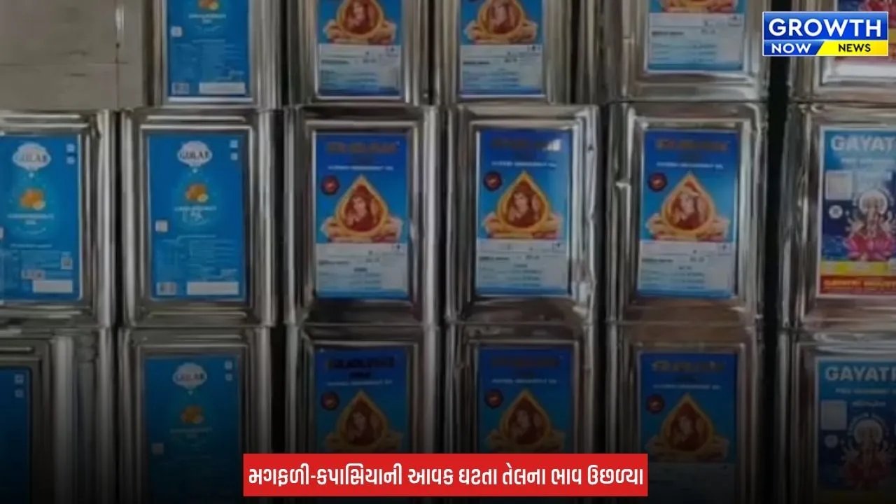 Rajkot માં ખાદ્યતેલના ભાવમાં ફરી ભડકો, સિંગતેલ ₹50 મોંઘું થયું તો કપાસિયા તેલમાં ₹ 25નો વધારો