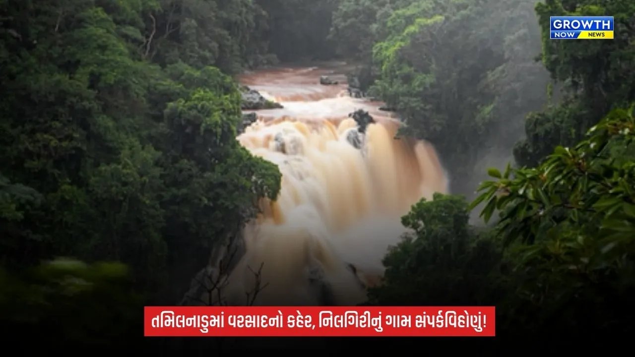 TamilNaduમાં ભારે વરસાદનો કહેર: નિલગિરીમાં ભૂસ્ખલન અને પૂરથી ગામનો સંપર્ક તૂટ્યો, જનજીવન ખોરવાયું