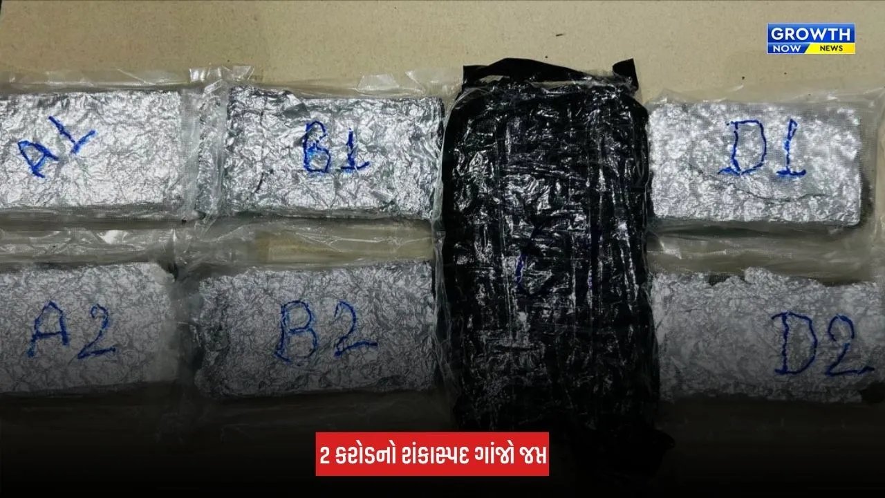 Ahmedabad: એરપોર્ટ પરથી રૂપિયા 2 કરોડનો શંકાસ્પદ ગાંજો જપ્ત, પેડલર અને રિસીવર બંનેની ધરપકડ