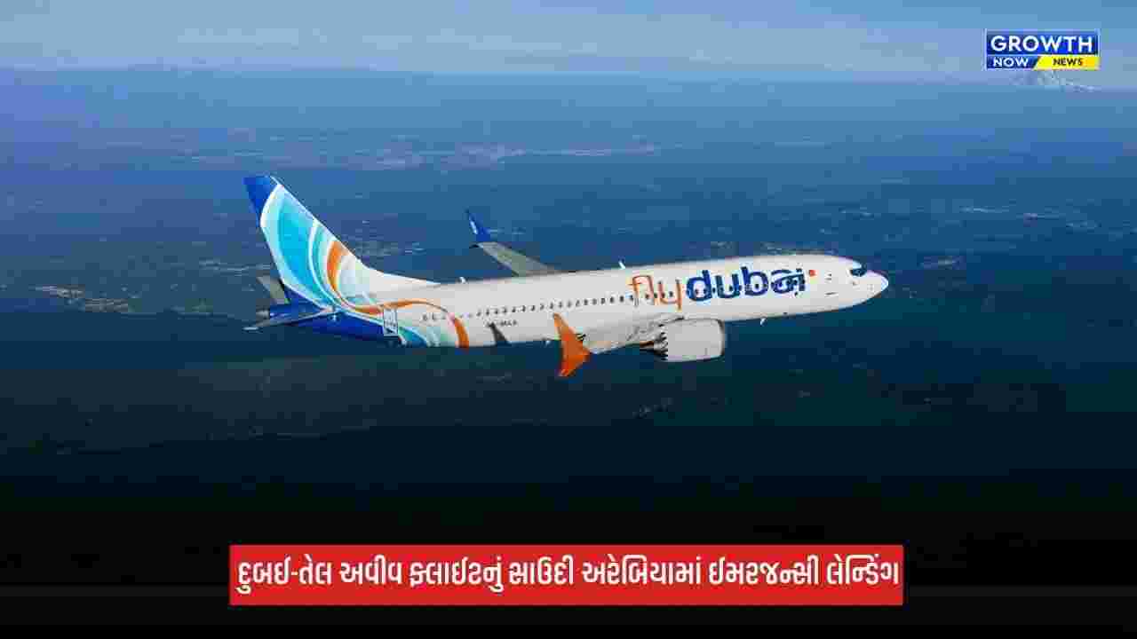 Dubaiથી તેલ અવીવ જઈ રહેલા વિમાનને ક્રેશ કરાવવા ઈચ્છતો હતો એક પાયલટ, બીજા પાયલટે રોક્યો તો ચપ્પુ વડે કર્યો હુમલો