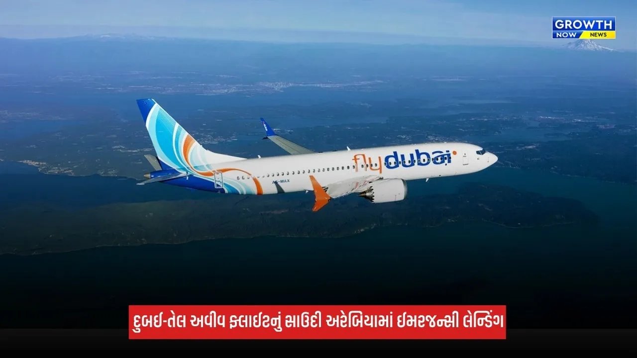 Dubaiથી તેલ અવીવ જઈ રહેલા વિમાનને ક્રેશ કરાવવા ઈચ્છતો હતો એક પાયલટ, બીજા પાયલટે રોક્યો તો ચપ્પુ વડે કર્યો હુમલો