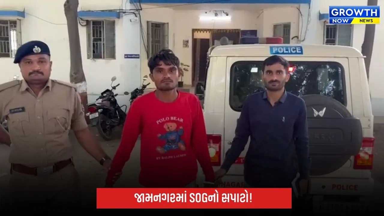 Jamnagar Ganja Seizure: SOGની મોટી કાર્યવાહી: ફલ્લા પાસે 2.9 કિલો ગાંજો ઝડપાયો, એક ઈસમ ઝડપાયો