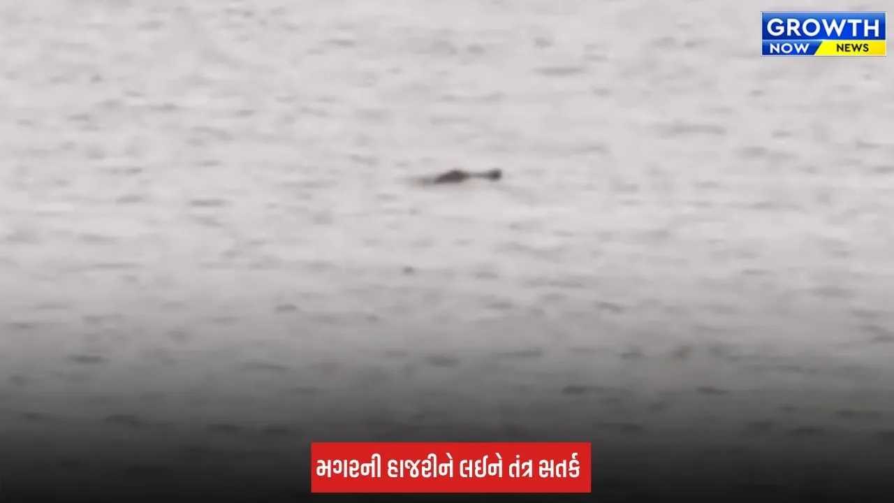 Surat: તાપી નદીમાં મગર દેખાતા તંત્ર એલર્ટ, કોઝવે નજીક વન વિભાગે રેસ્ક્યુ ટીમ તૈનાત કરી