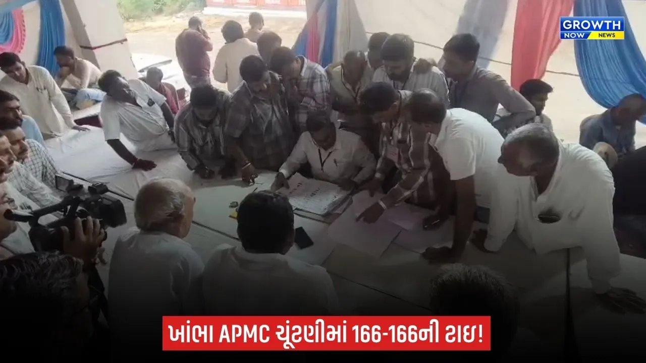 Khambha APMC Election: ખાંભા APMC ચૂંટણીમાં મામલો ગૂંચવાયો, ભાજપના બે ઉમેદવારો વચ્ચે 166-166 મતથી ટાઇ