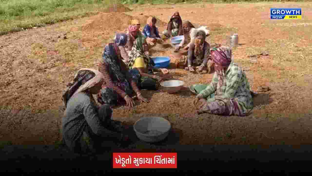 Aravalli News: માલપુર અને શામળાજીમાં વરસાદની ખેંચથી ખેડૂતો ચિંતિત, બંને તાલુકાને દુષ્કાળગ્રસ્ત જાહેર કરવાની માગ