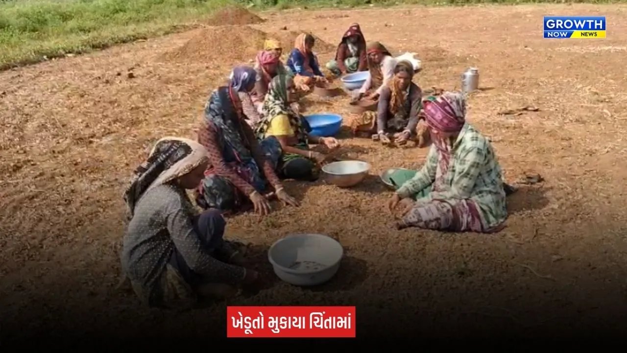 Aravalli News: માલપુર અને શામળાજીમાં વરસાદની ખેંચથી ખેડૂતો ચિંતિત, બંને તાલુકાને દુષ્કાળગ્રસ્ત જાહેર કરવાની માગ