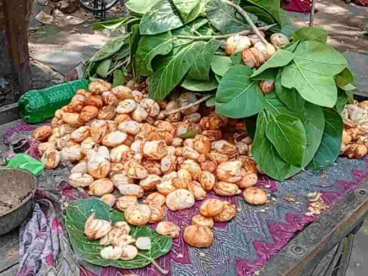 અંગ દઝાડતી ગરમીમાં આ ફળ છે અમૃત જેવું, પેટમાં ઠંડકની સાથે કરે છે આટલા ફાયદા