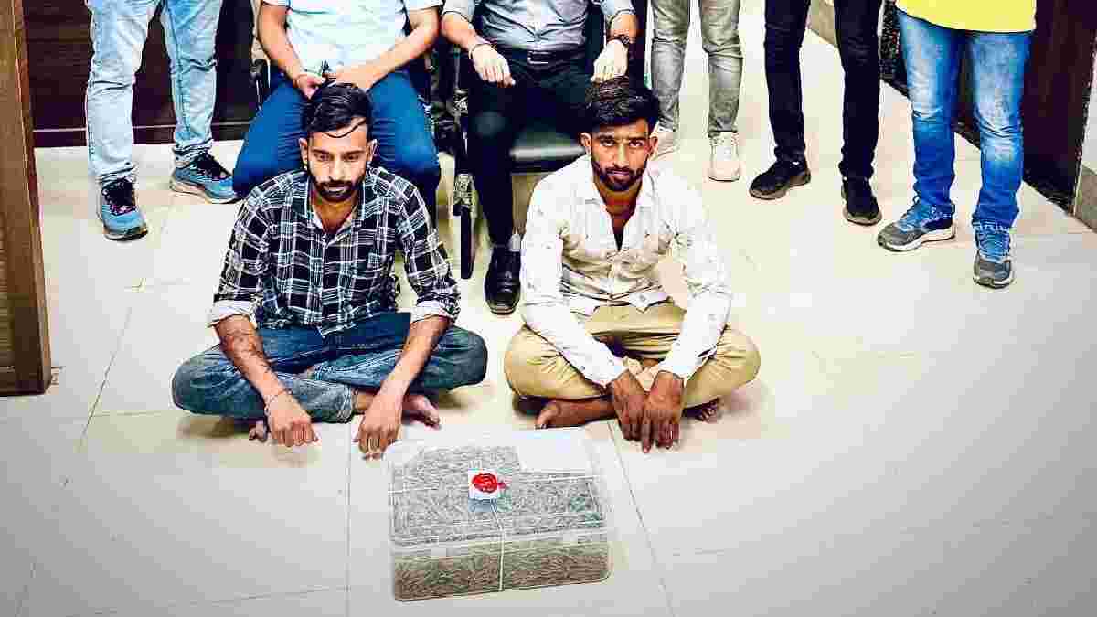 રાજકોટ SOGની મોટી કાર્યવાહી, લાખોના ગાંજા સાથે 2 આરોપીની અટકાયત