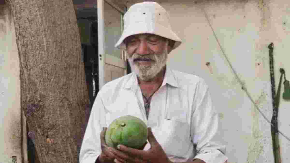 અમરેલી: એક જ આંબા પર 14 પ્રકારની કેરીઓ ઉગાડીને ખેડૂતે સર્જ્યો અનોખો ચમત્કાર