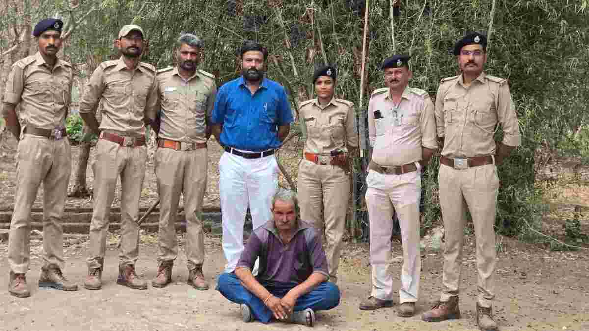જૂનાગઢમાં સિંહના બચ્ચાની હત્યાનો ભેદ ઉકેલાયો, પોરબંદરમાંથી 50 વર્ષીય શખ્સની ધરપકડ
