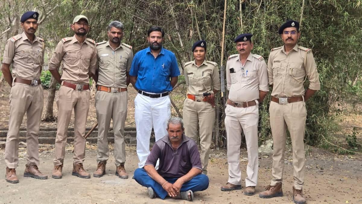 જૂનાગઢમાં સિંહના બચ્ચાની હત્યાનો ભેદ ઉકેલાયો, પોરબંદરમાંથી 50 વર્ષીય શખ્સની ધરપકડ