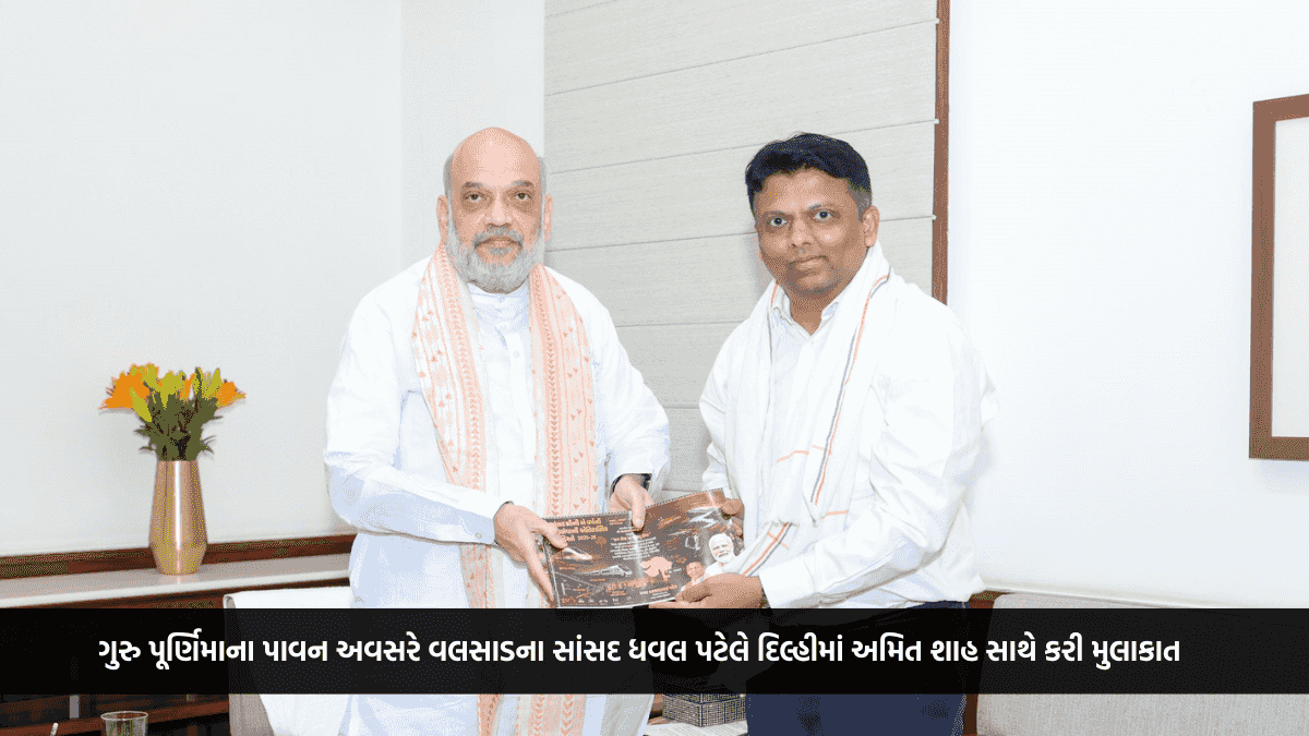 ગુરુ પૂર્ણિમાના પાવન અવસરે વલસાડના સાંસદ ધવલ પટેલે દિલ્હીમાં અમિત શાહ સાથે કરી મુલાકાત, મેળવ્યા આશીર્વાદ અને માર્ગદર્શન
