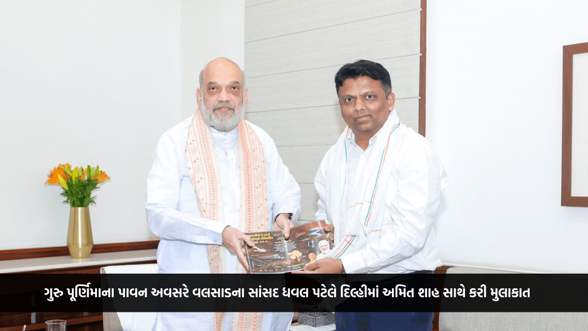ગુરુ પૂર્ણિમાના પાવન અવસરે વલસાડના સાંસદ ધવલ પટેલે દિલ્હીમાં અમિત શાહ સાથે કરી મુલાકાત, મેળવ્યા આશીર્વાદ અને માર્ગદર્શન