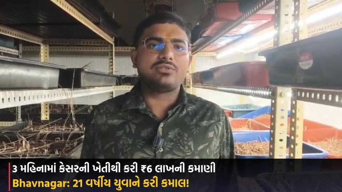 Bhavnagar: 21 વર્ષીય યુવાને કરી કમાલ! 3 મહિનામાં કેસરની ખેતીથી કરી ₹6 લાખની કમાણી